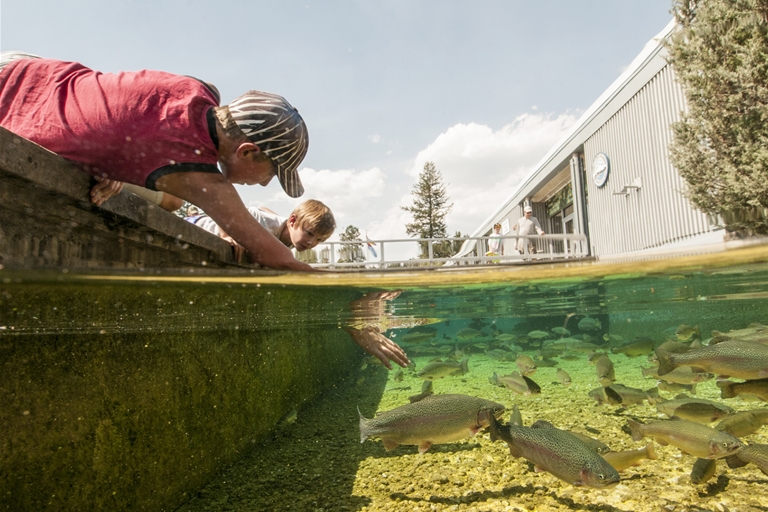Kootenay Trout Hatchery