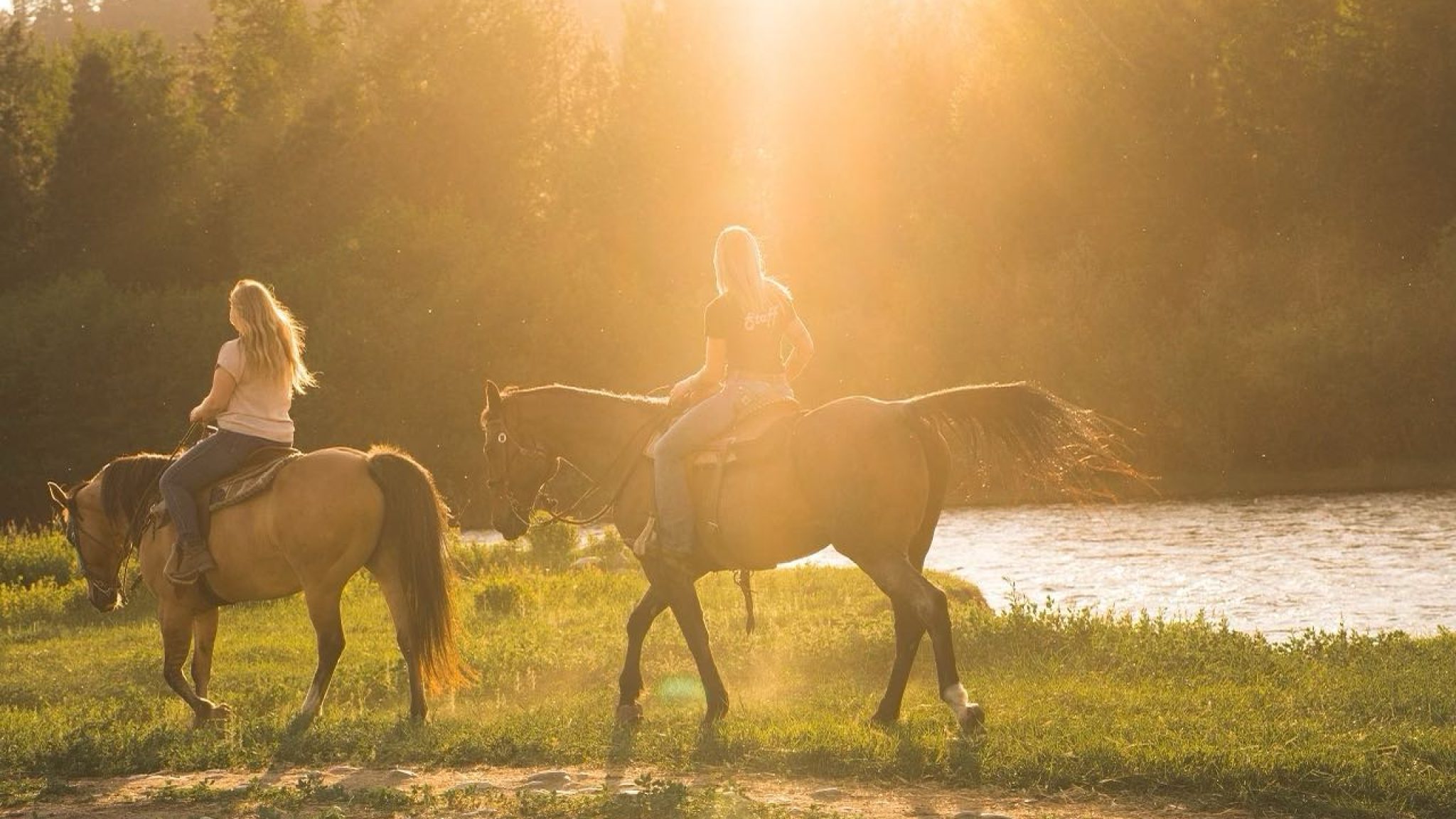 Spur Valley Adventures