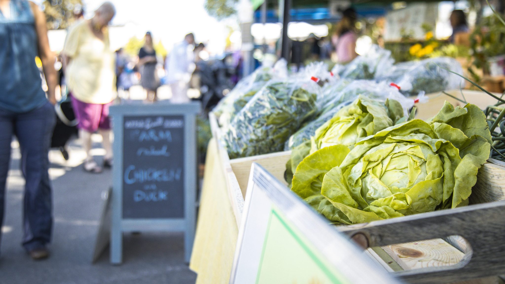 Cranbrook Tourism - July Campaign