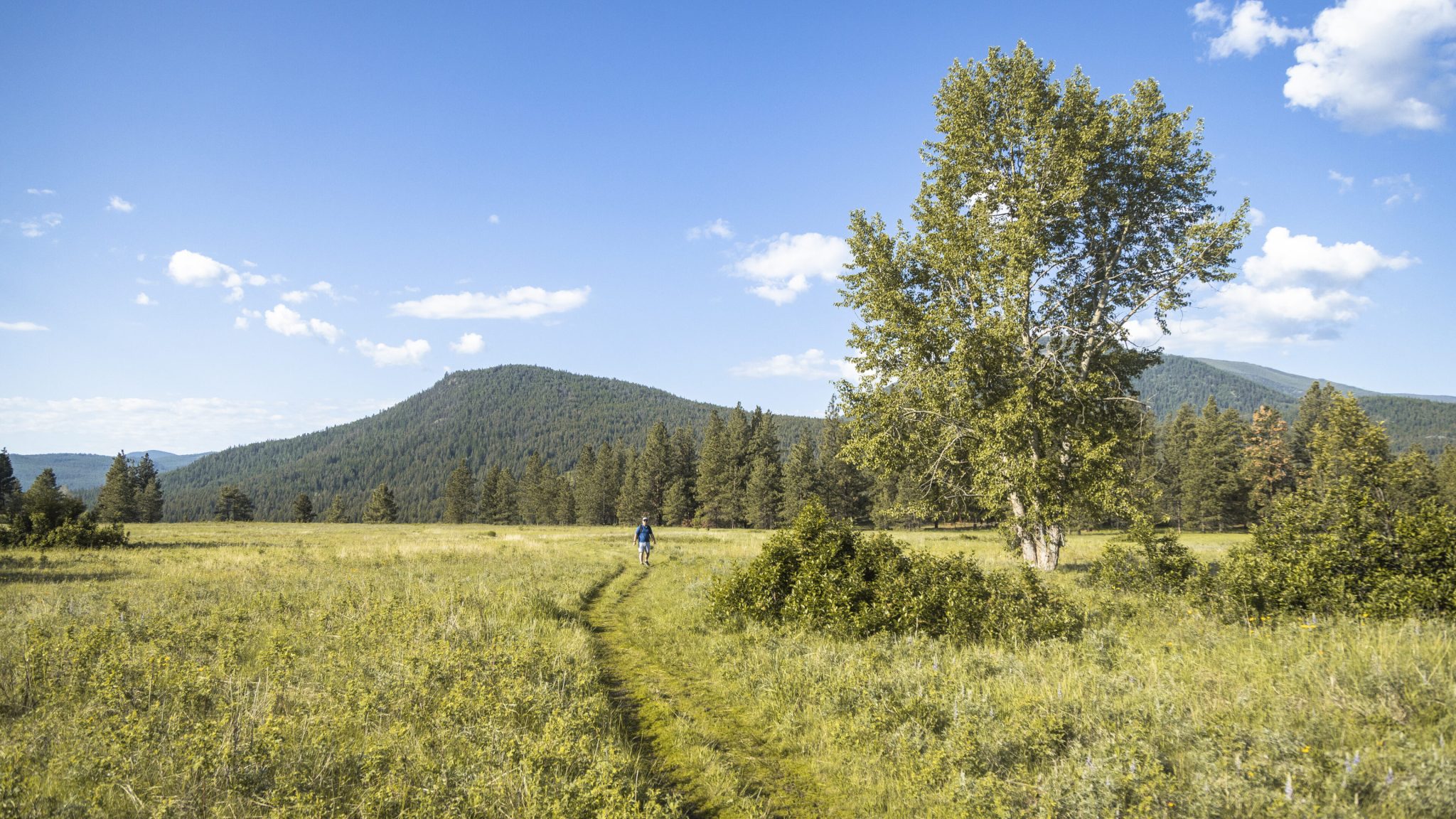 Cranbrook Tourism - Summer Campaign