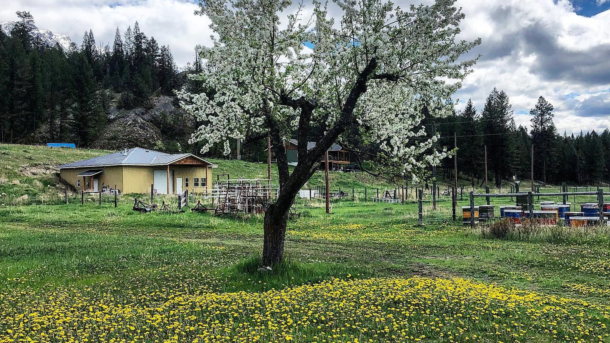 Pommier Ranch Meadery