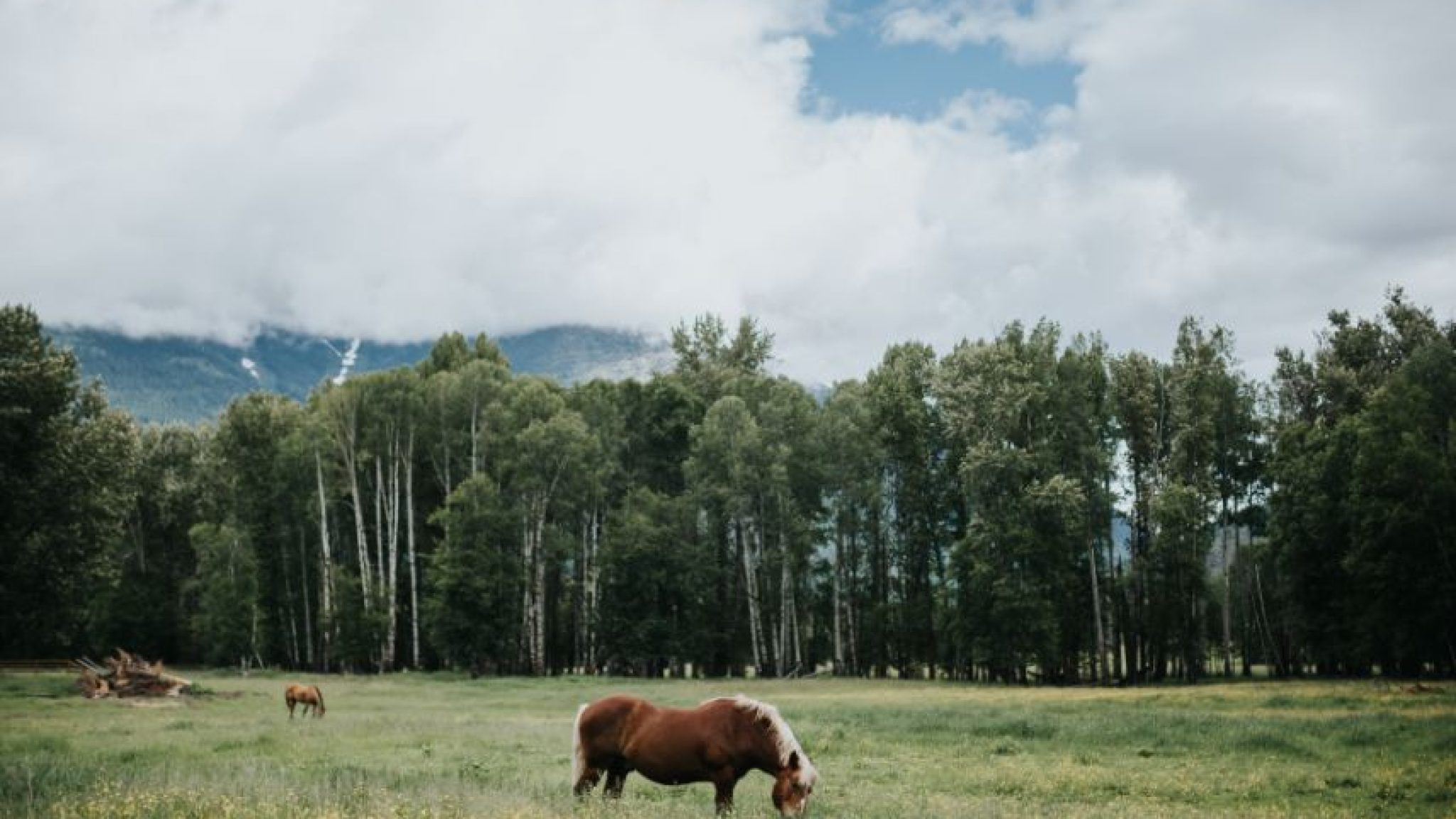 Bull River Guest Ranch4