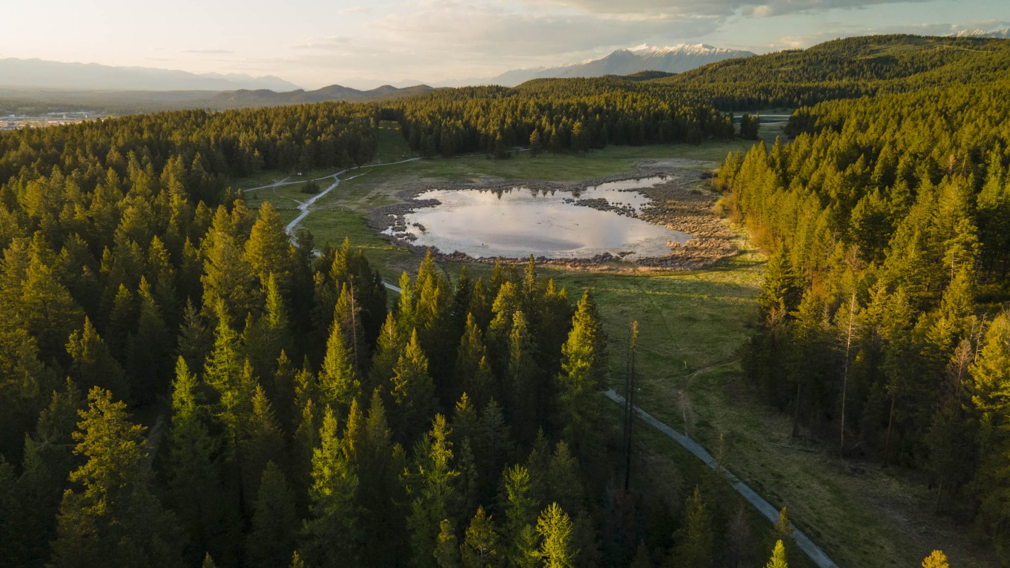 Cranbrook-Community-Forest-052222-0110-WEB