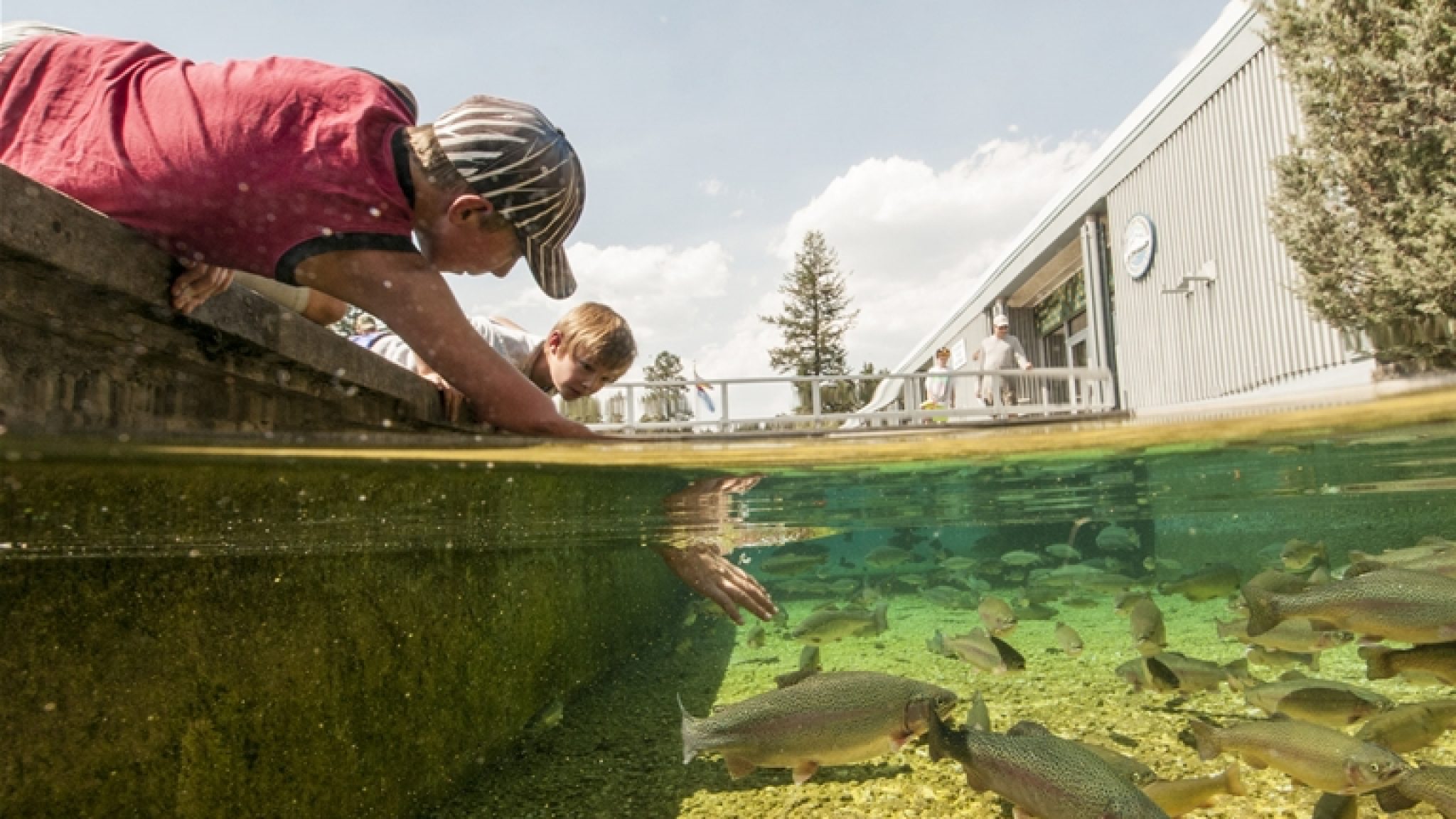 Kootenay Trout Hatchery