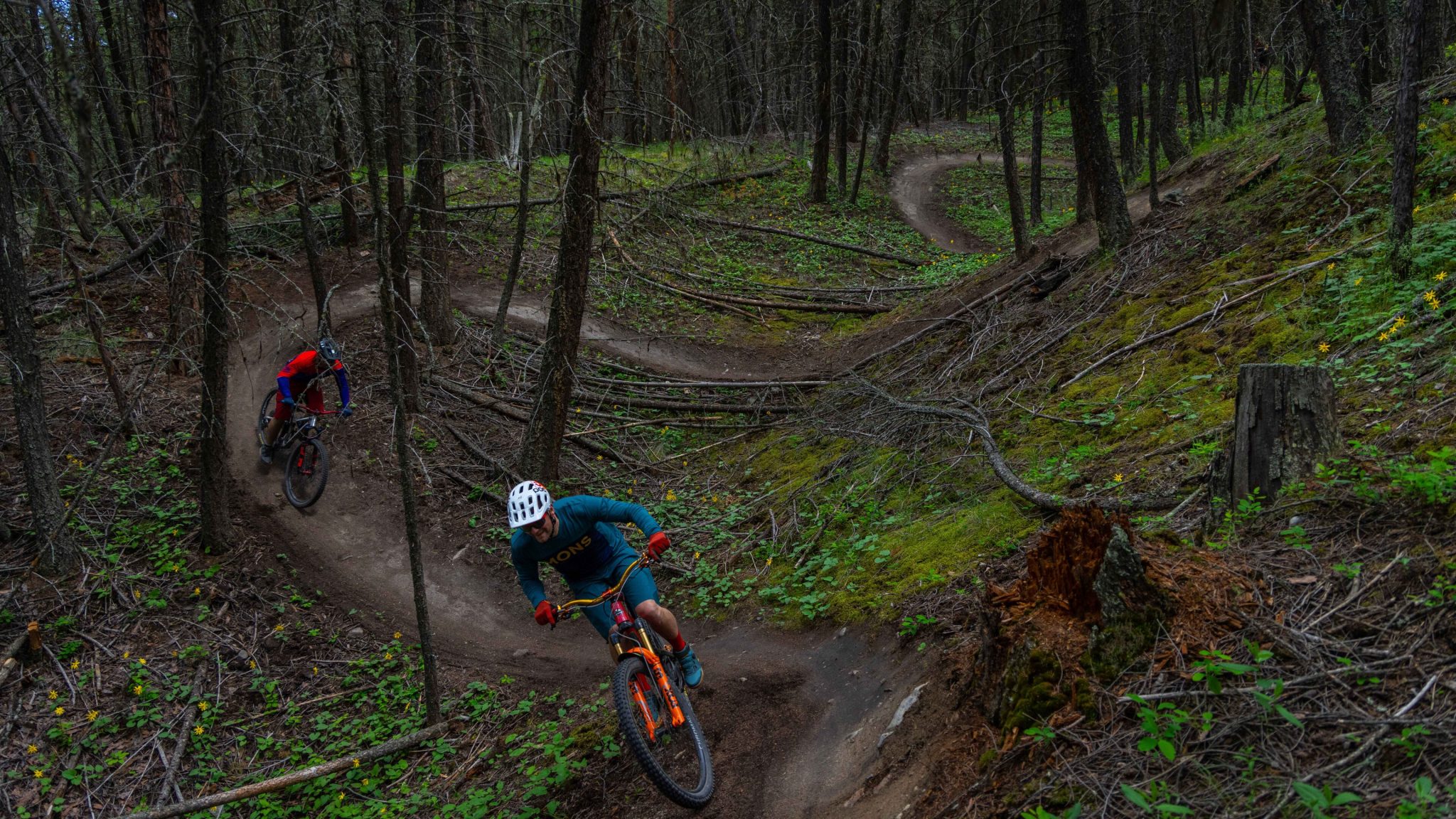 Mountain-Biking---Community-Forest---Cranbrook-(61-of-64)