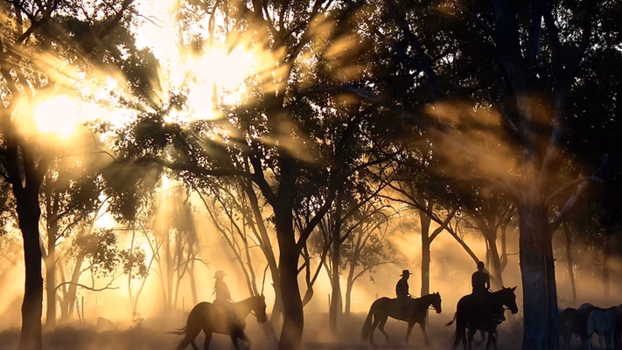 nsplsh_7563646835484d6b524d67~mv2_d_4915_3071_s_4_2