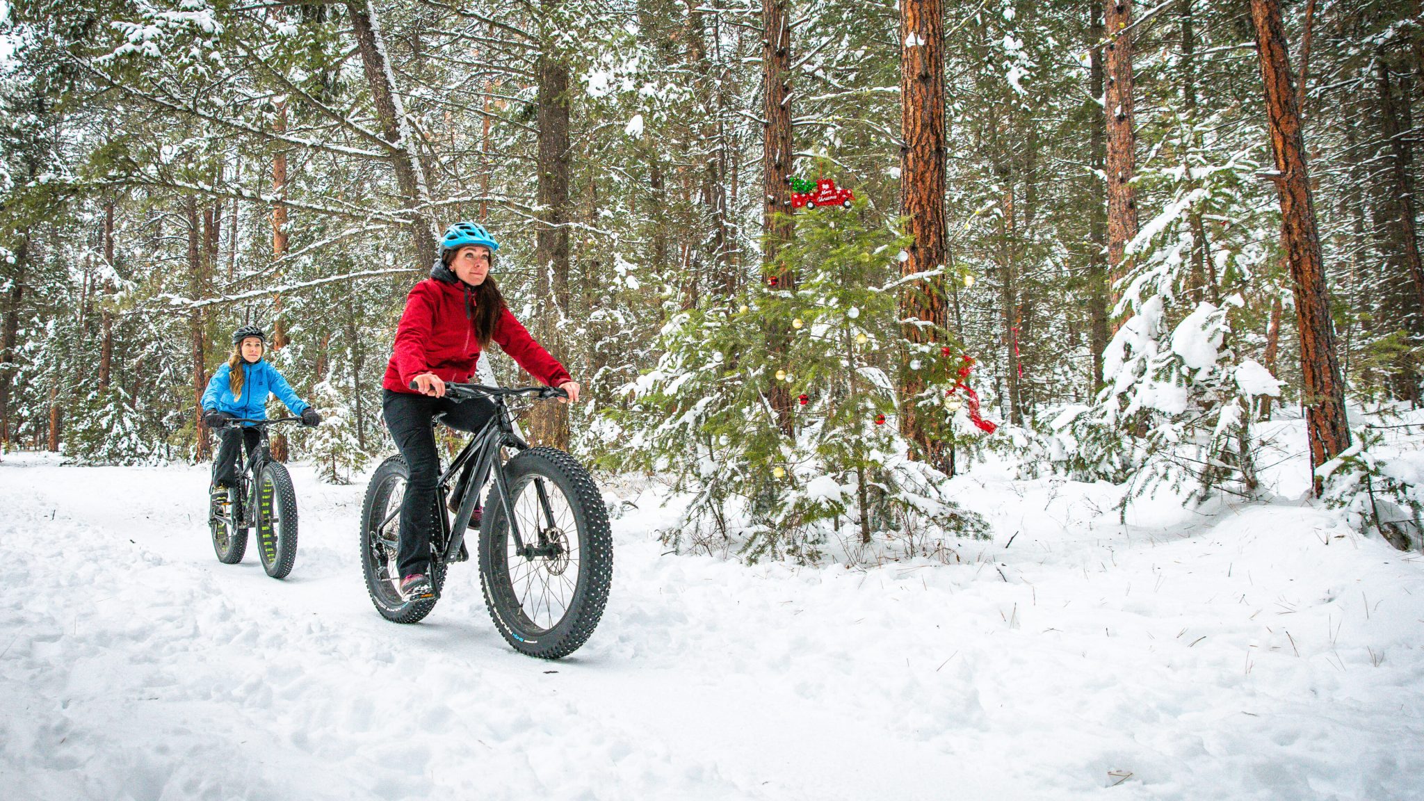 Cranbrook Tourism - Winter 2024