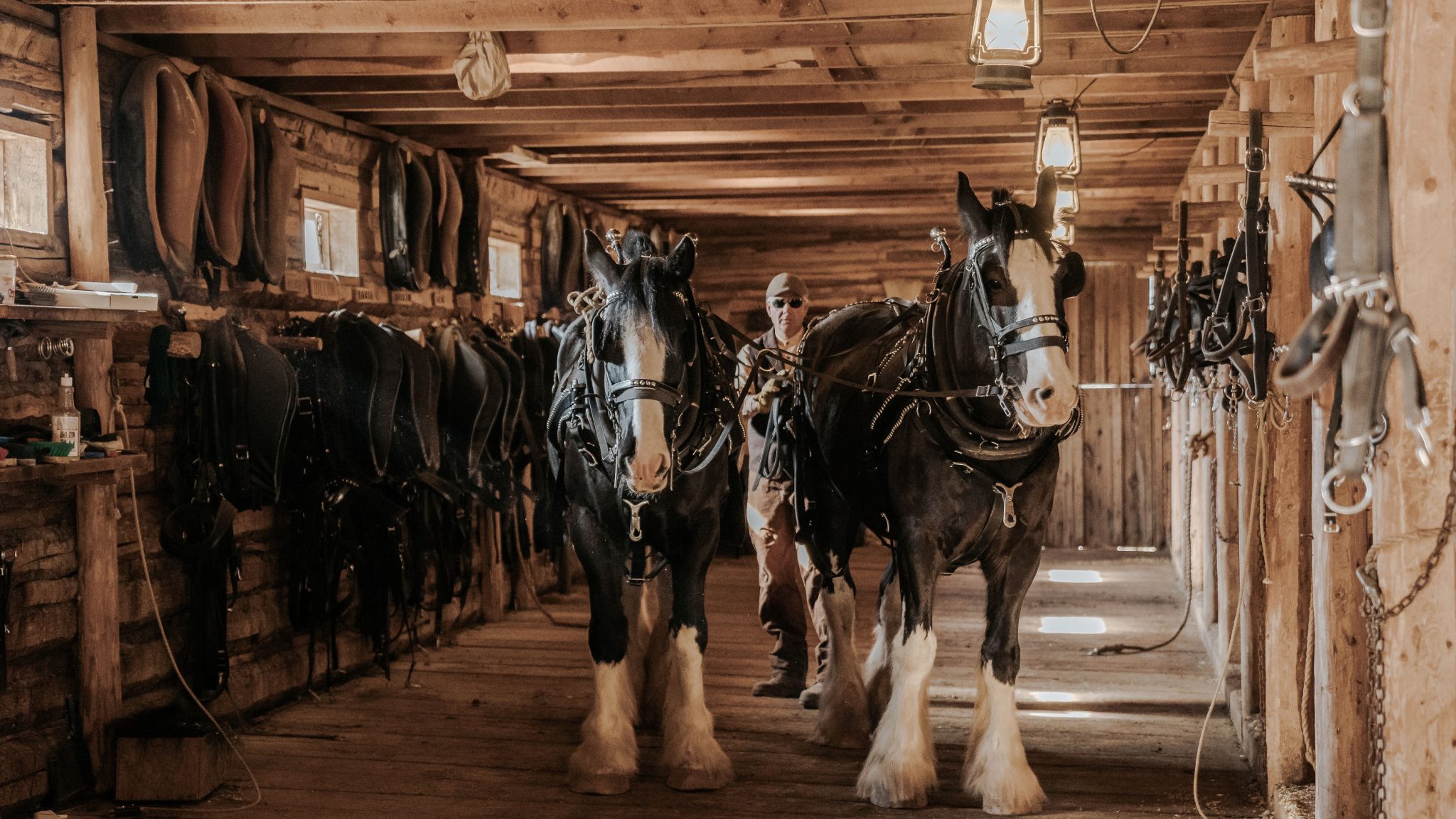 Tourism_Cranbrook_ROAM_122